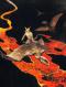 Night Images: A Book of Fantasy Verse